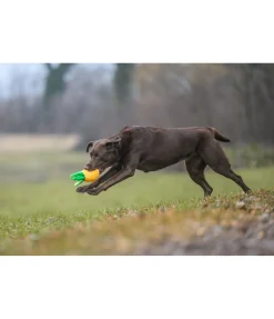 Jouet pour chien Pineapple