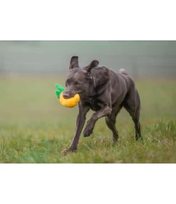 Jouet pour chien Pineapple
