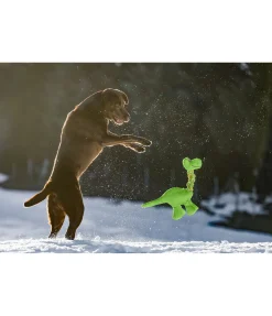 Jouet pour chien Strong Dino