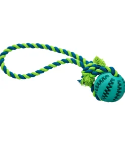 Jouet soins dentaires pour chien Cleo