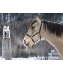 Jus d'herbes Bronchial