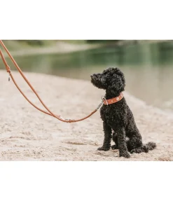 Laisse en cuir cousu rond pour chien Certaldo