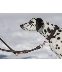 Laisse en cuir cousu rond pour chien Certaldo
