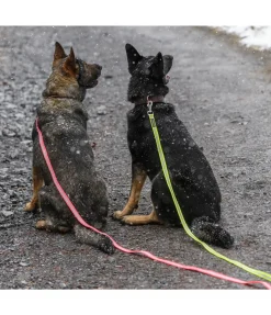 Laisse longue réfléchissante