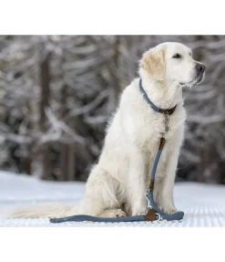Laisse pour chien Rope