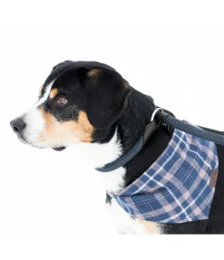 Laisse retriever Nature Rope