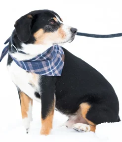 Laisse retriever Nature Rope