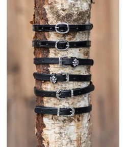 Lanières d'éperons Crown