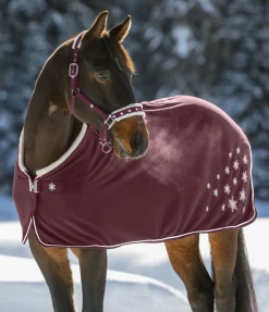 Licol Collection de Noël