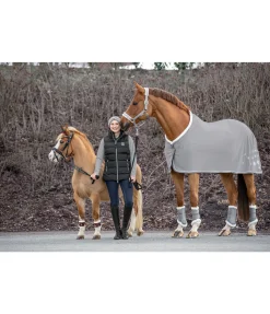 Licol Collection de Noël