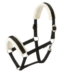 Licol Interchangeable