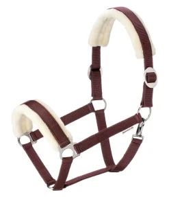 Licol Interchangeable