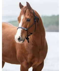 Licol à noeuds Beaded