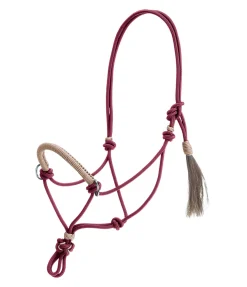 Licol à noeuds Lino