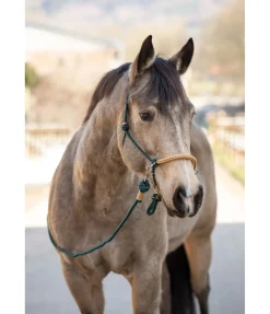 Licol à noeuds Lino