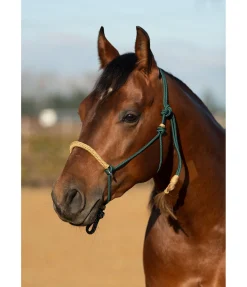 Licol à noeuds Lino