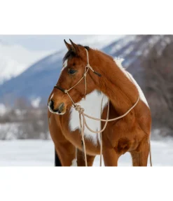 Licol à noeuds avec rênes Mecate Merano