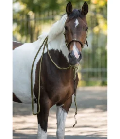 Licol à noeuds avec rênes Mecate Merano