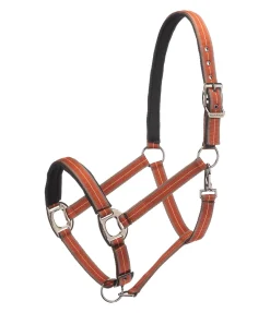 Licol Swiss Design II