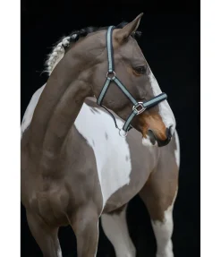 Licol Swiss Design II