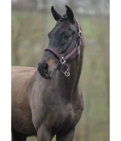 Licol Swiss Design II