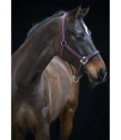 Licol Swiss Design II