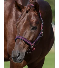 Licol Twotone