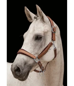 Licol Velvet Twinkle