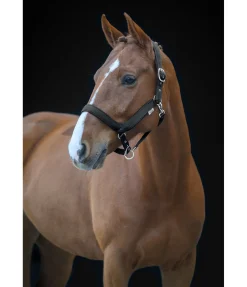 Licol anatomique Relaxation