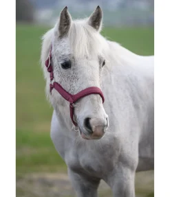 Licol anatomique Relaxation