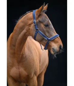 Licol anatomique Relaxation