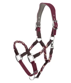 Licol anatomique Sophistication