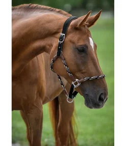 Licol anatomique Sophistication