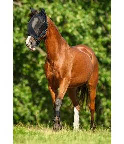 Licol avec masque anti-mouches intégré All-In-One