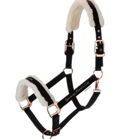 Licol avec polaire Teddy Better Together