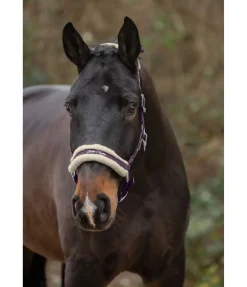 Licol avec polaire Teddy Better Together