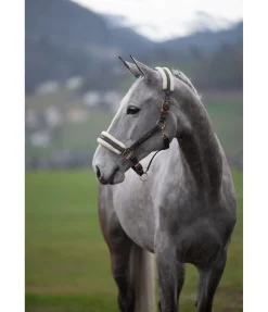 Licol avec polaire Teddy Better Together