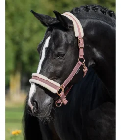 Licol avec polaire Teddy Better Together