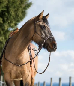 Licol de randonnée 3 en 1