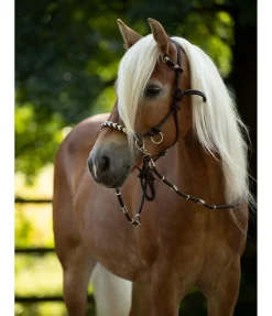 Licol de randonnée 3 en 1