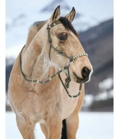 Licol de randonnée 3 en 1