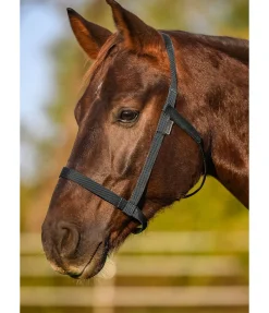 Licol de sécurité Safety