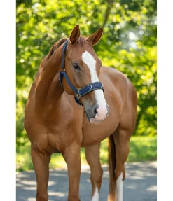 Licol de travail Freedom