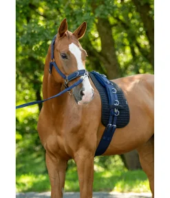 Licol de travail Freedom