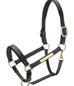 Licol en cuir Graveur