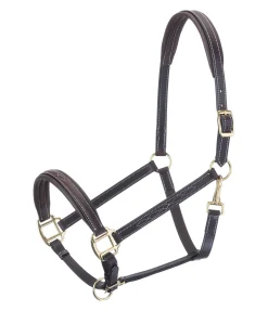 Licol en cuir Stitch