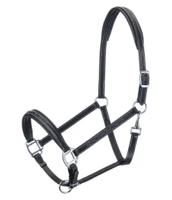 Licol en cuir Stitch