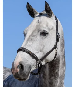 Licol en cuir orné de strass Selina