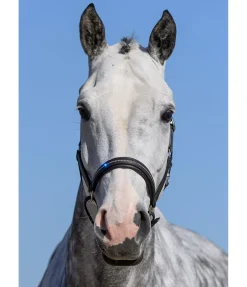 Licol en cuir orné de strass Selina