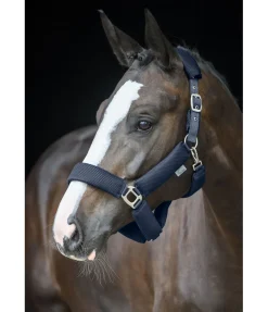 Licol en mesh Airflow